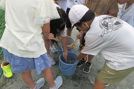 IMG_0355