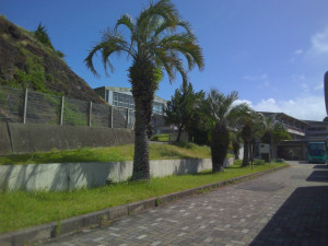 IMG_20250717_090930