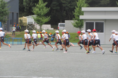 IMG_2014